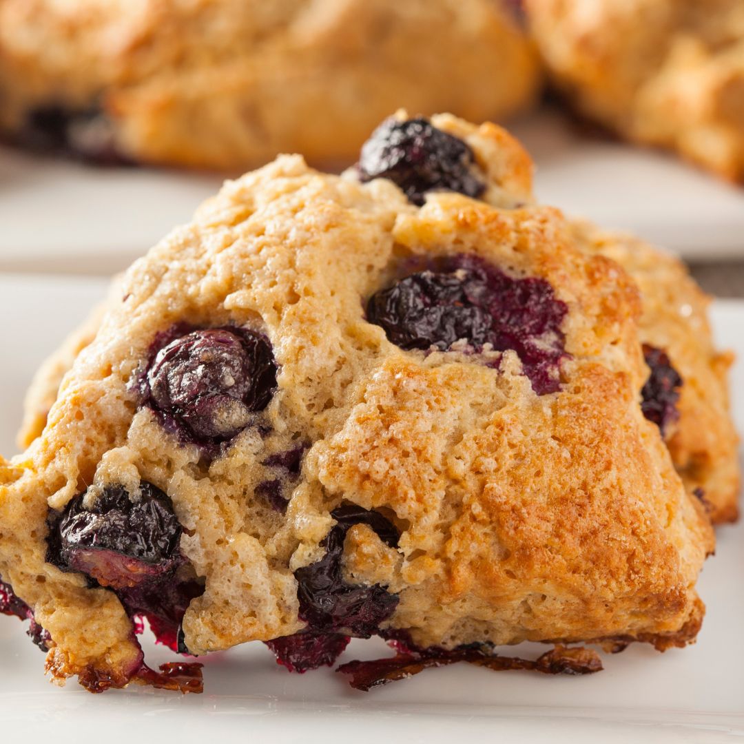 Blueberry Lemon – Judee's Gluten Free