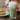 Moringa Latte