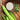 Guar Gum for Baking